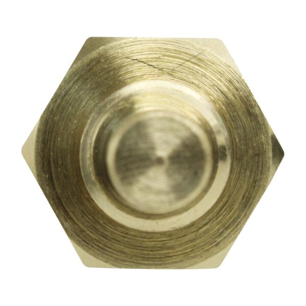 WS2599 - Imagen 3