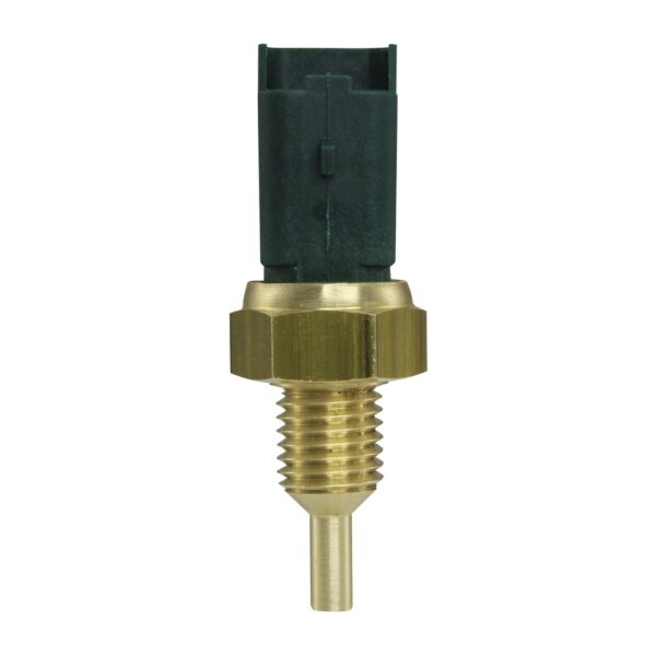 WS2606 - Imagen 4