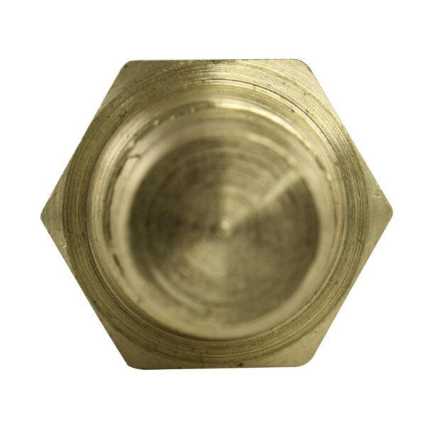 WS2622 - Imagen 3