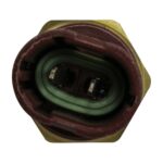 WS2624 - Imagen 2