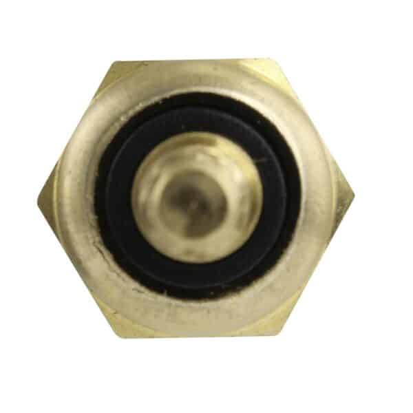 WS2637 - Imagen 2