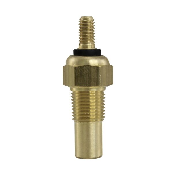 WS2637 - Imagen 4