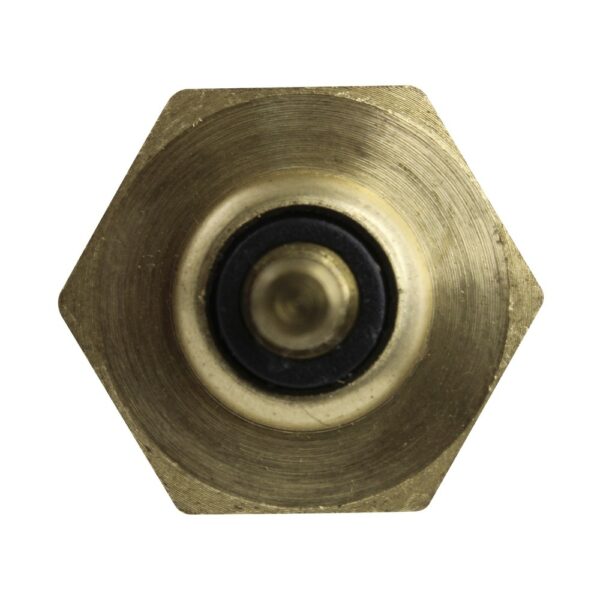 WS2639 - Imagen 2