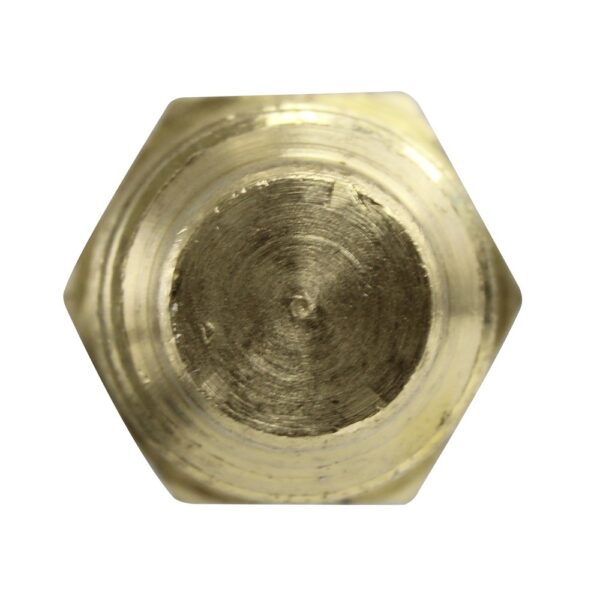 WS2641 - Imagen 3