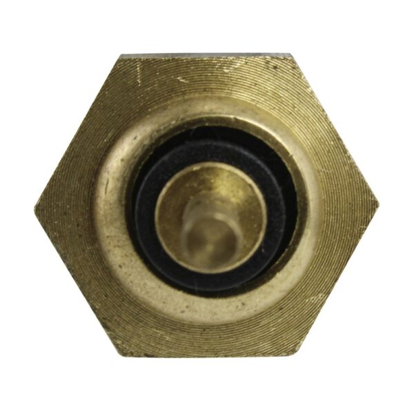 WS2651 - Imagen 2