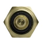 WS2652 - Imagen 2