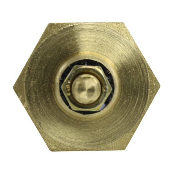 WS2653 - Imagen 2