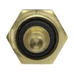 WS2654 - Imagen 2