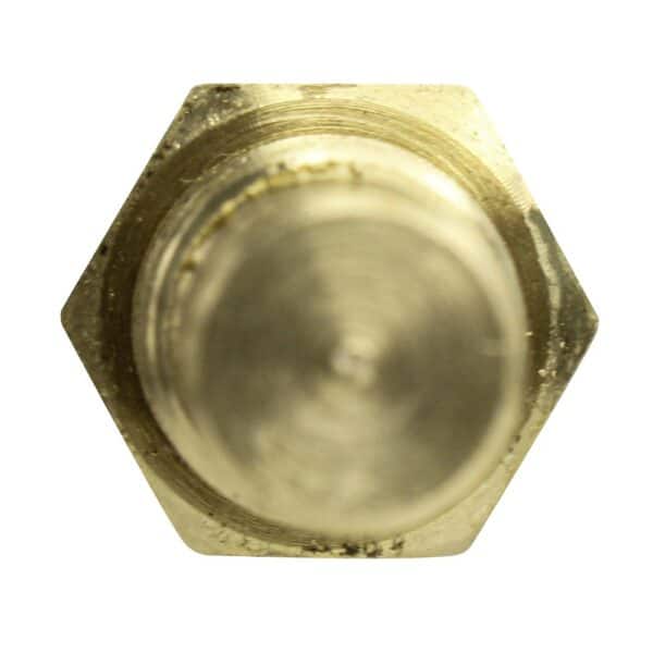 WS2654 - Imagen 3
