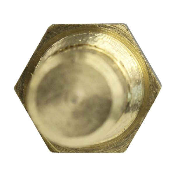 WS2656 - Imagen 3