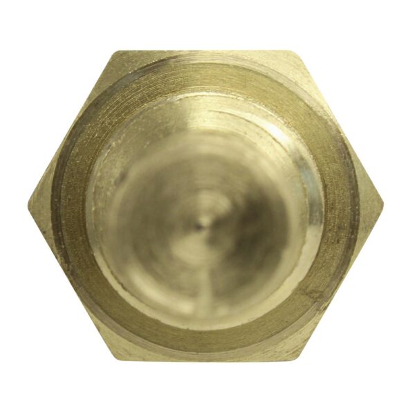 WS2657 - Imagen 3