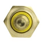 WS2658 - Imagen 2