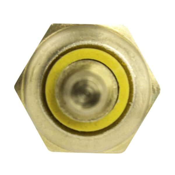 WS2658 - Imagen 2