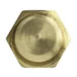 WS2658 - Imagen 3