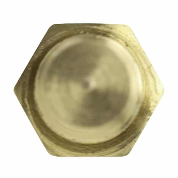 WS2658 - Imagen 3
