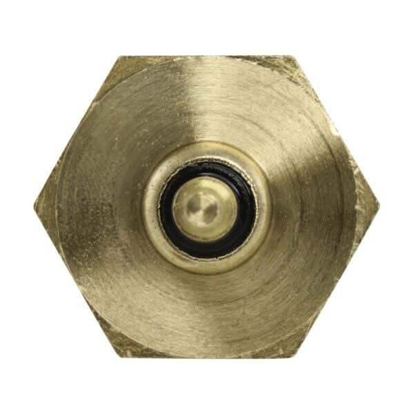 WS2665 - Imagen 2