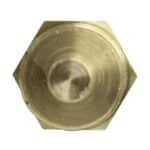 WS2665 - Imagen 3