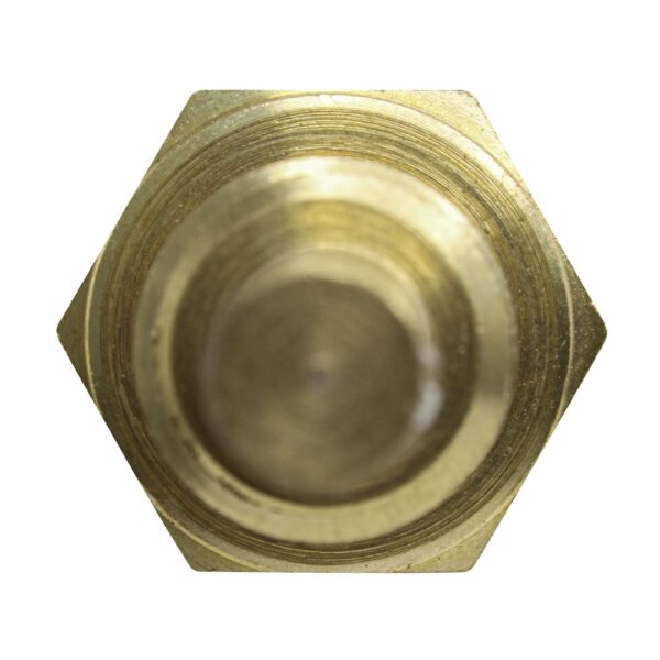 WS2667 - Imagen 3