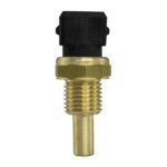 WS2667 - Imagen 4