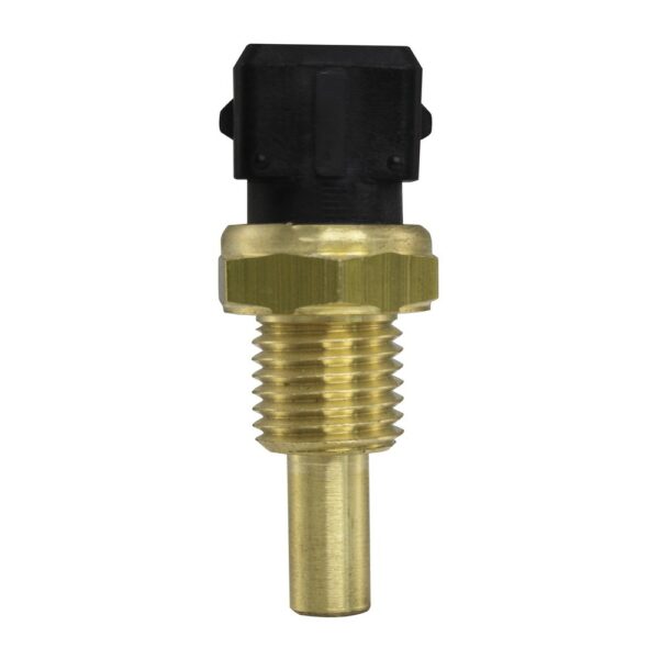 WS2667 - Imagen 4