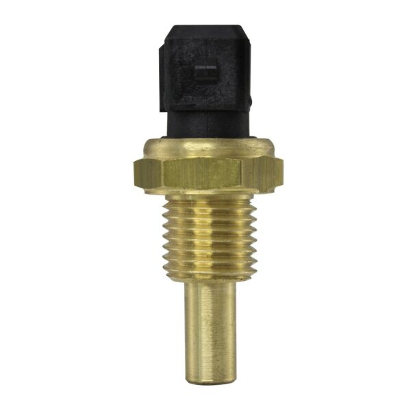WS2667 - Imagen 6