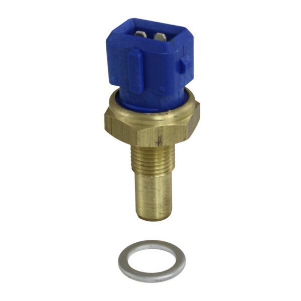WS2668 - Imagen 1