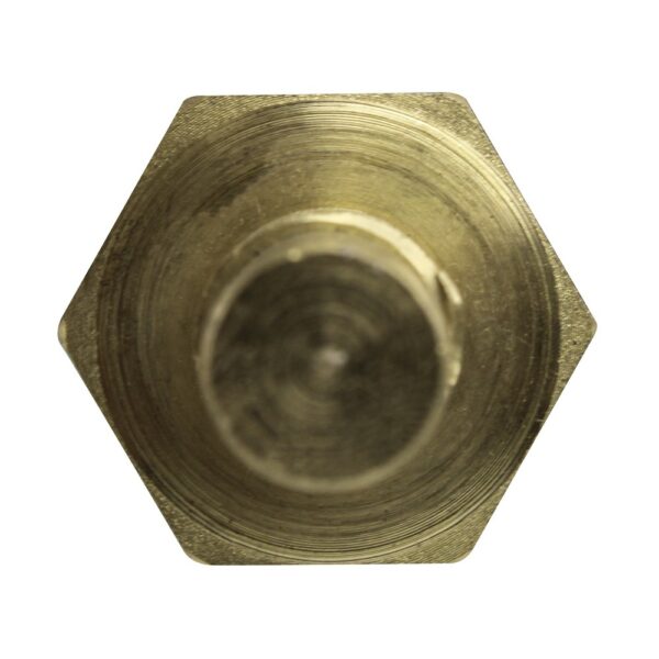 WS2668 - Imagen 3