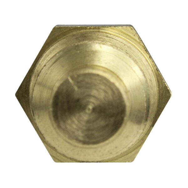 WS2671 - Imagen 3