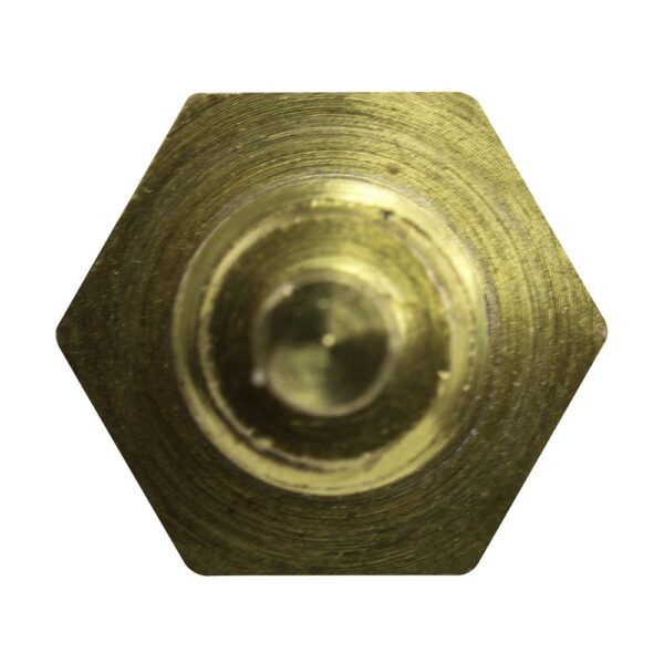 WS2673 - Imagen 3
