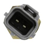WS2677 - Imagen 2