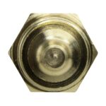 WS2677 - Imagen 3