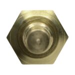 WS2679 - Imagen 3
