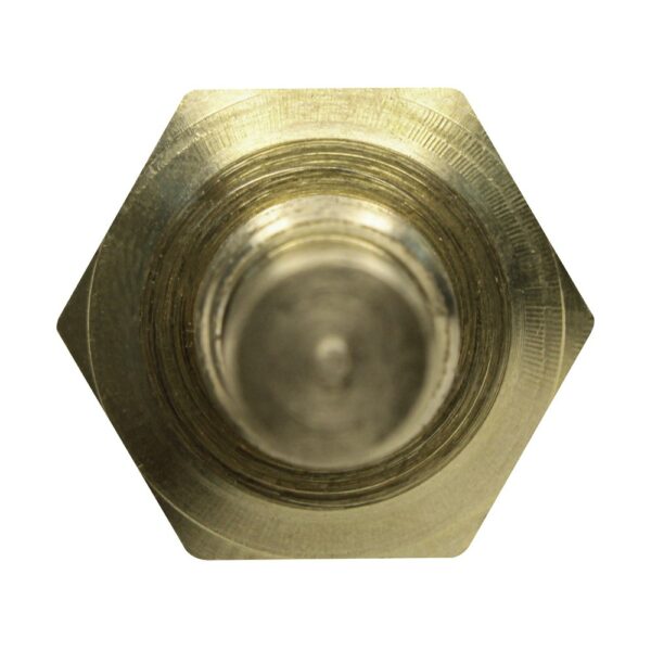 WS2679 - Imagen 3