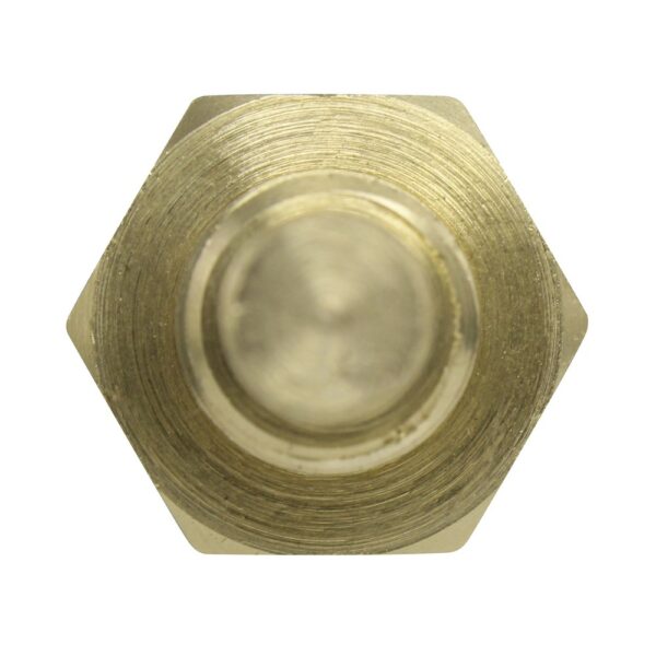 WS2683 - Imagen 3