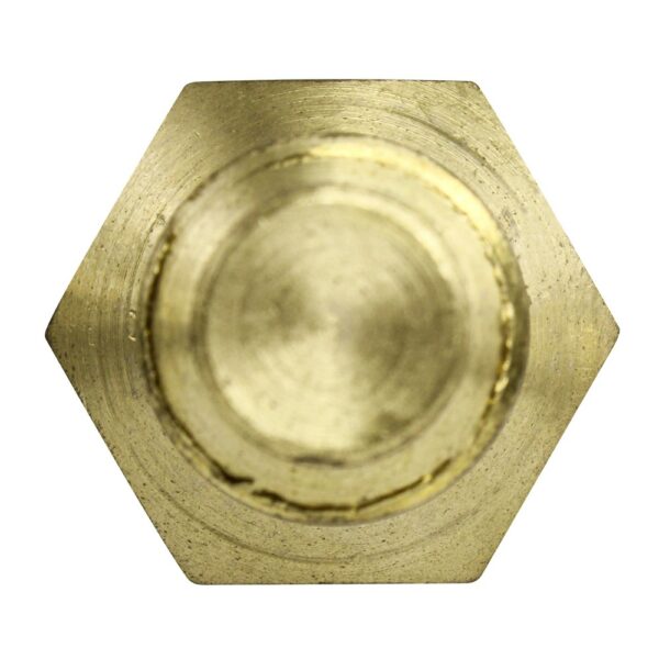 WS2684 - Imagen 3