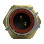 WS2686 - Imagen 2