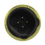 WS2687 - Imagen 2