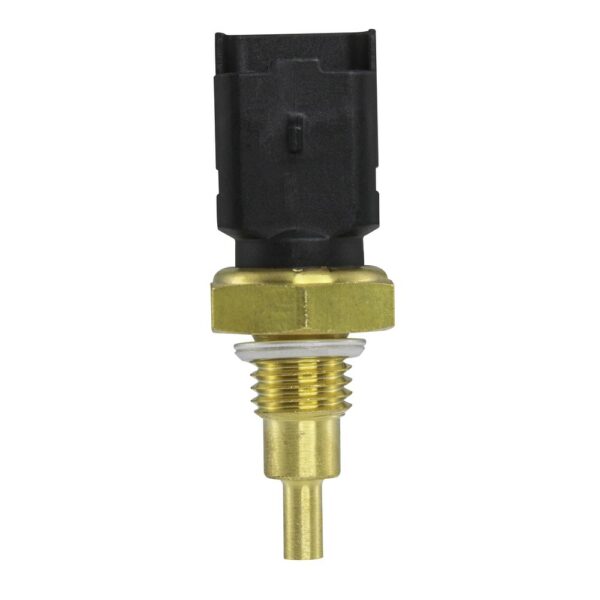 WS2693 - Imagen 4
