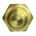 WS2696 - Imagen 3