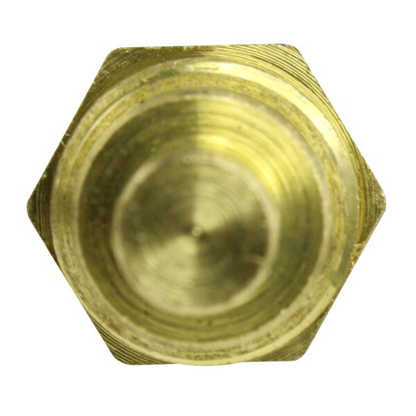 WS2696 - Imagen 3