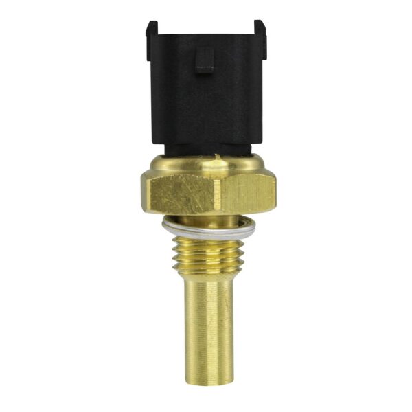 WS2697 - Imagen 4