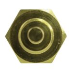 WS3001 - Imagen 3