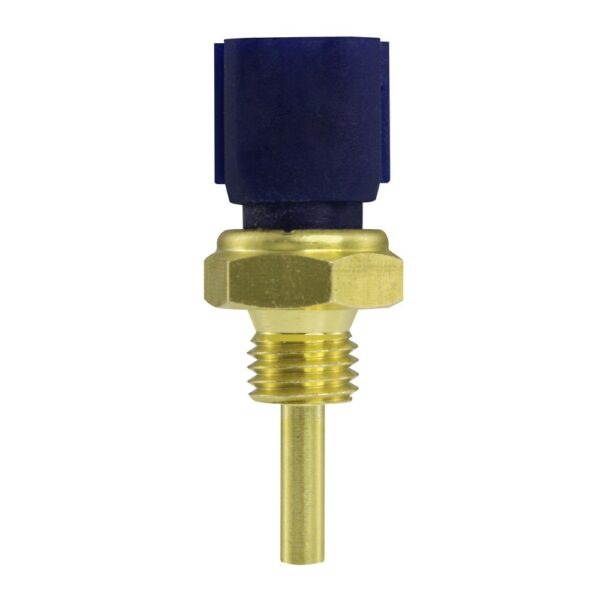 WS3001 - Imagen 5