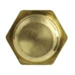 WS3004 - Imagen 3