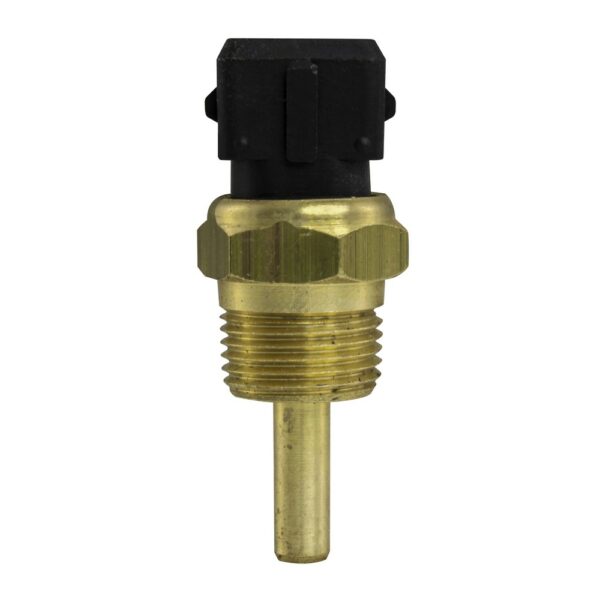 WS3005 - Imagen 4