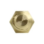 WS3007 - Imagen 3