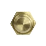 WS3009 - Imagen 3