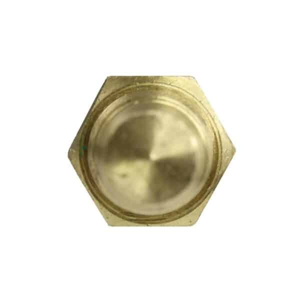 WS3009 - Imagen 3