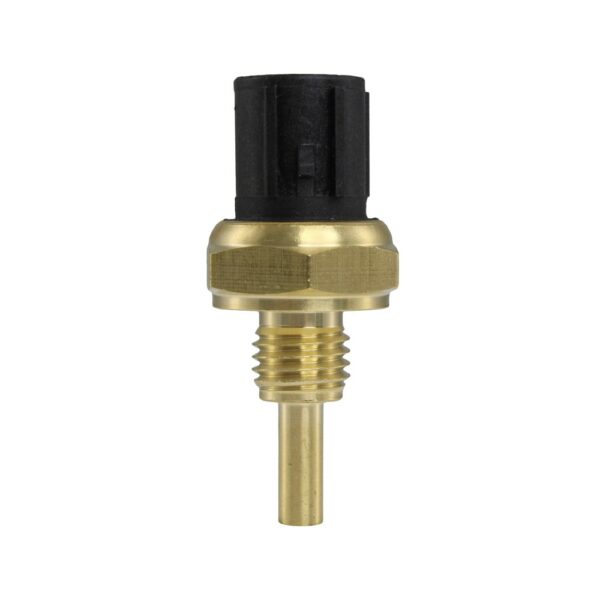 WS3010 - Imagen 4