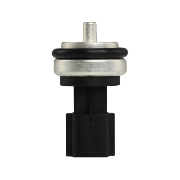WS3019 - Imagen 5